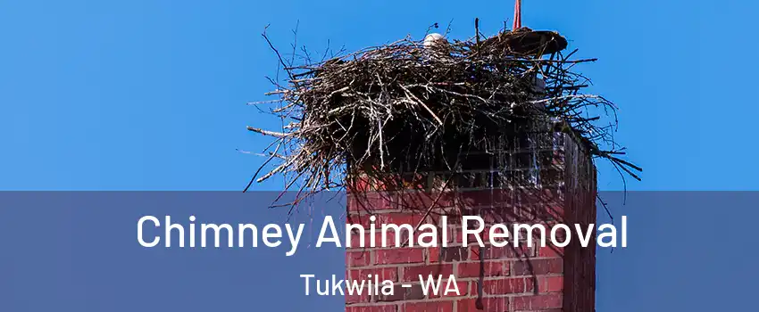  Chimney Animal Removal Tukwila - WA