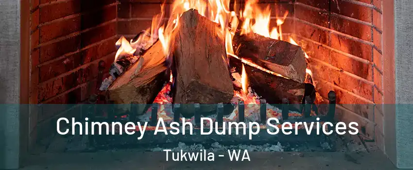  Chimney Ash Dump Services Tukwila - WA