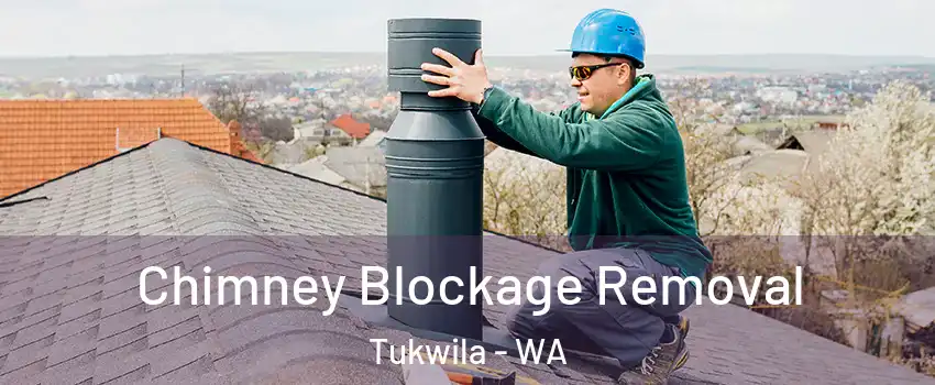  Chimney Blockage Removal Tukwila - WA