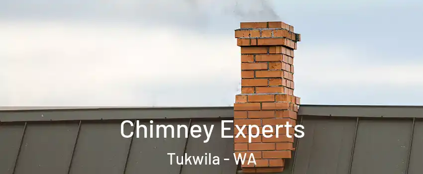 Chimney Experts Tukwila - WA