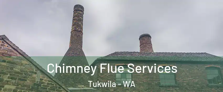  Chimney Flue Services Tukwila - WA