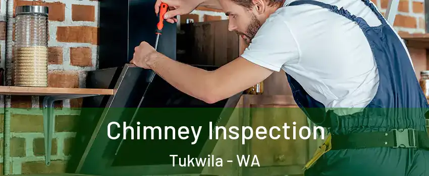  Chimney Inspection Tukwila - WA