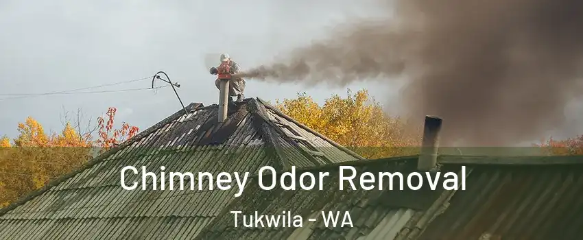  Chimney Odor Removal Tukwila - WA