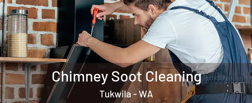  Chimney Soot Cleaning Tukwila - WA