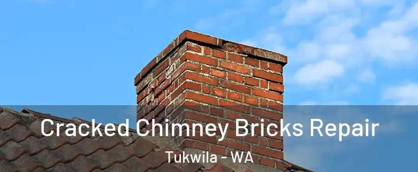 Cracked Chimney Bricks Repair Tukwila - WA