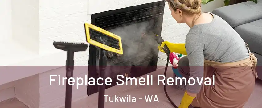  Fireplace Smell Removal Tukwila - WA