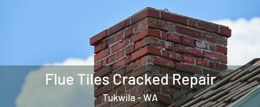  Flue Tiles Cracked Repair Tukwila - WA