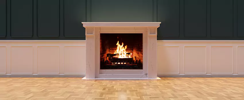 Napoleon Electric Fireplaces Inspection Service in Tukwila, Washington
