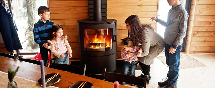 Jøtul Gas Fireplace Inspection Service in Tukwila, Washington