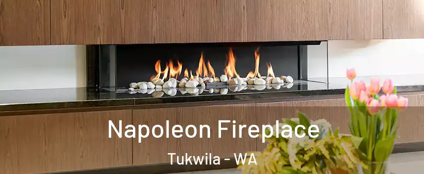 Napoleon Fireplace Tukwila - WA